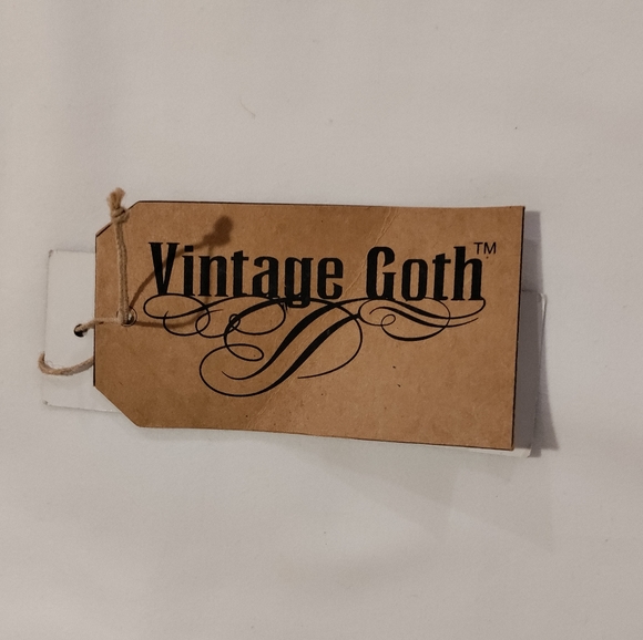 NWT Vintage Goth Size 22,Shades of Sepia Waist Trainer - Picture 8 of 9